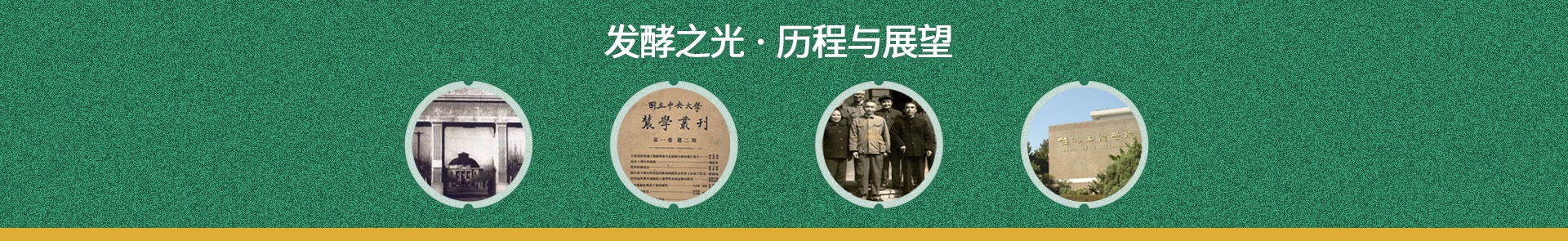 一本道·无码